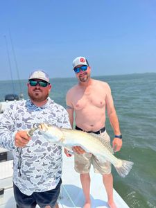 Speckled trout catch displayed on fishing boat in Corpus Christi TX waters