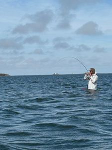 Angler wade fishing in ocean waters near Corpus Christi TX with bent fishing rod indicating fish on line