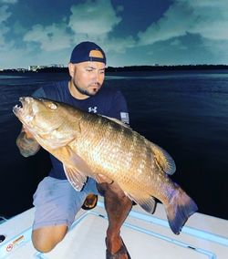 Cubera Snapper in Miami Beach