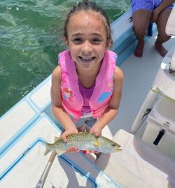 Angler fishing in Miami Beach