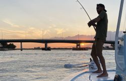 Angler fishing in Miami Beach