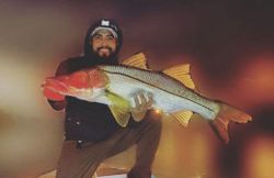Snook fish caught while fishing in FL