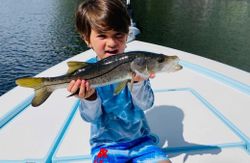 Snook, 18 inches, fishing in FL