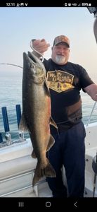 Chinook Salmon caught while fishing in Cleveland