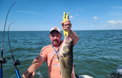 Walleye fish caught by angler in OH