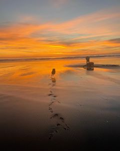 Fishing on the beach at Peter Iredale Rd
