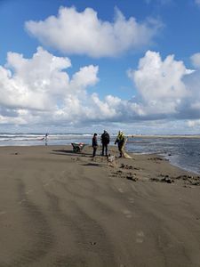 Angler with a 52-inch catch at Peter Iredale Rd