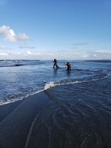 Scenic view of Peter Iredale Rd