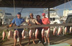 Hooked on South Padre fishing trips