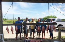 Anglers caught 8 big fish while fishing at South Padre Island