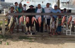 4 huge fish caught at South Padre Island