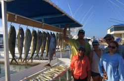 5 big fish caught by 5 people at South Padre Island