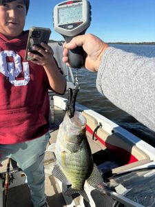 Fun day Crappie fishing in Adair Oklahoma!