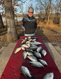 4 fish caught in Adair