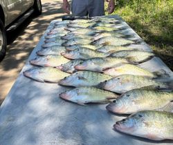 Fishing trip at OK with 5 fish caught