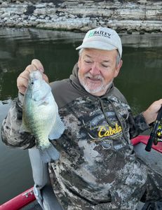 White crappie fish caught at Adair location