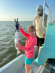 Fish-Species