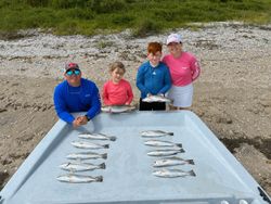 Fish-Species