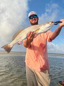 Fish-Species