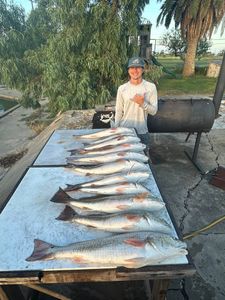 4 redfish caught by angler in Rockport