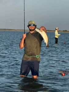Angler holding caught speckled trout while wade fishing in Rockport TX waters