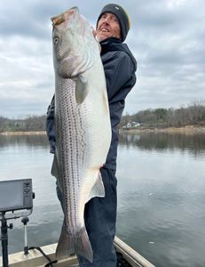 Trophy Striped Bass Moments