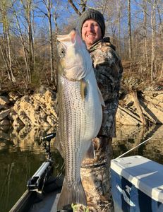 Striped Bass Excursions in TN