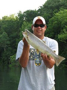 Boone Lake, Brown trout fishing in Tennessee! 
