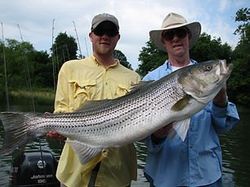 2 anglers fishing in TN
