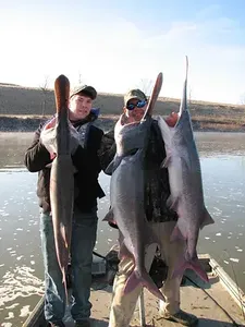 3 big fish caught by 2 people in TN