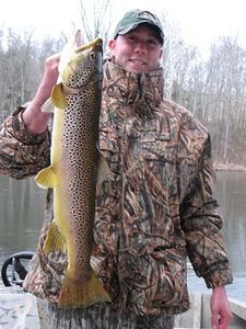 Caught a sea trout measuring 27 inches in Bristol