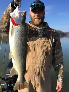 A rainbow trout being held by a person in Bristol