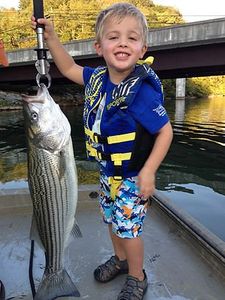 Striped bass caught in Bristol