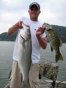 Striped bass fishing in Bristol