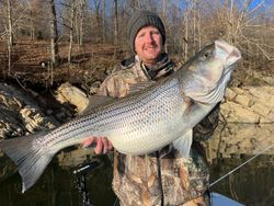 Striped Bass caught in TN