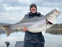 Striped bass caught while fishing in TN