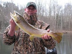 Angler fishing in Tennessee