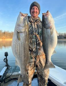 Two striped bass caught on a fishing trip in Tennessee