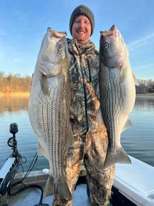 Two striped bass caught fishing in Tennessee