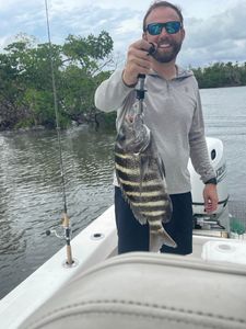 Some Sheepshead Fishing in Fort Myers Beach!