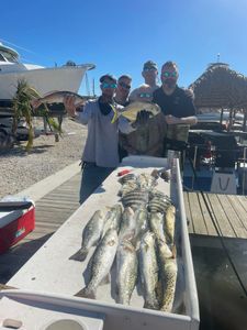 Fish with us in FMB! 