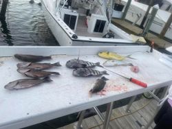 Sheepshead fishing