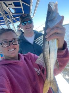 The Snook Fishing Is On Fire!