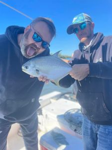 Inshore fishing charters on the gulf coast!