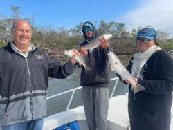 Inshore Redfish Fishing