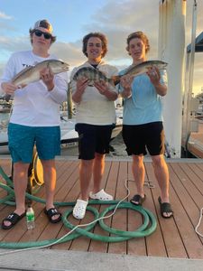 Inshore Fishing Adventures