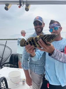Gulf Fishing Magic Unleashed