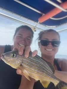 Inshore Fishing: Cast Off!
