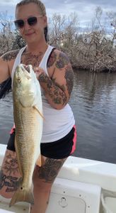 Angler with big 22-inch fish caught at Fort Myers Beach