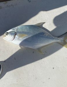 Fishing at beautiful Fort Myers Beach